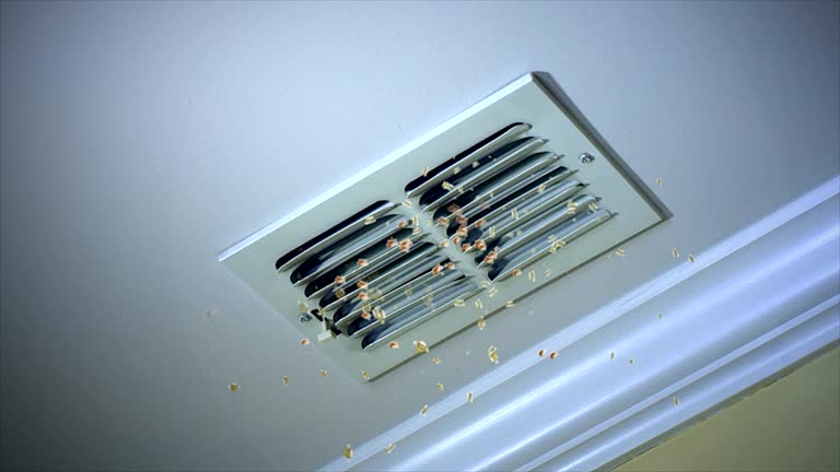 Best General Air Duct Cleaning  in Greenwood, LA